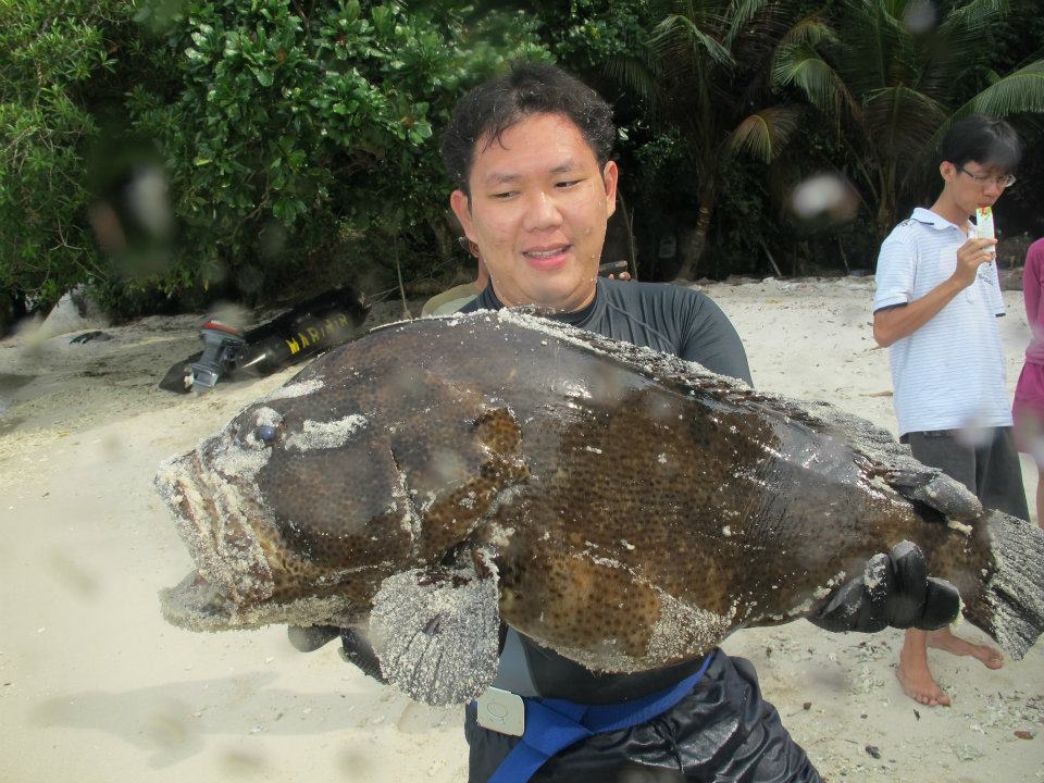 156255_447649595250845_1294912953_n