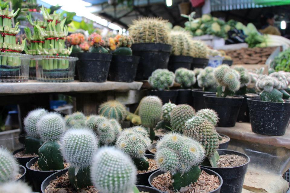 230096_629463097069493_329892278_n