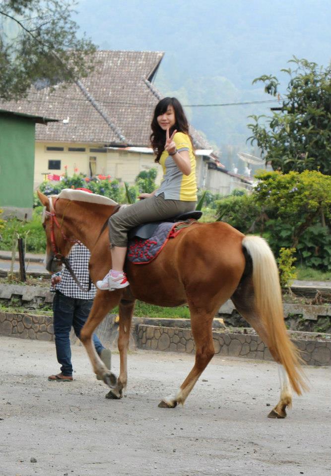 269224_629463033736166_1248411887_n