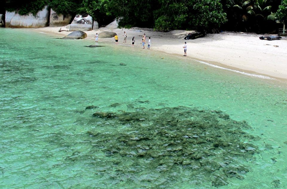 301837_447644378584700_112260661_n