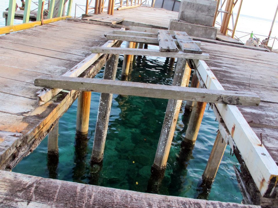 398230_447645428584595_1866048090_n