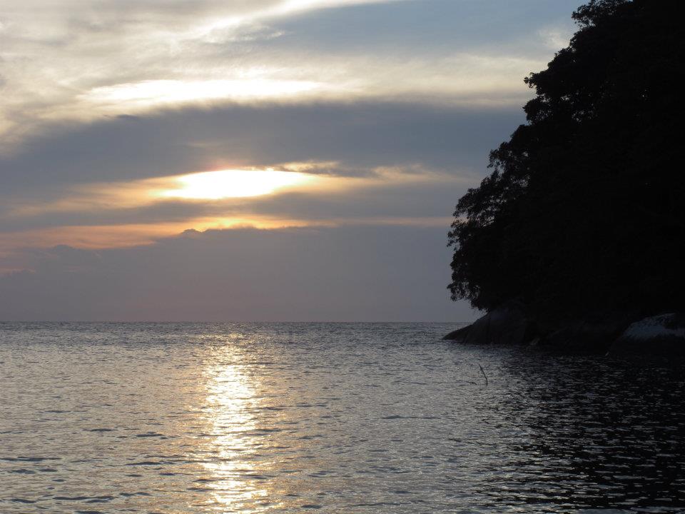 523200_447646221917849_1008297917_n