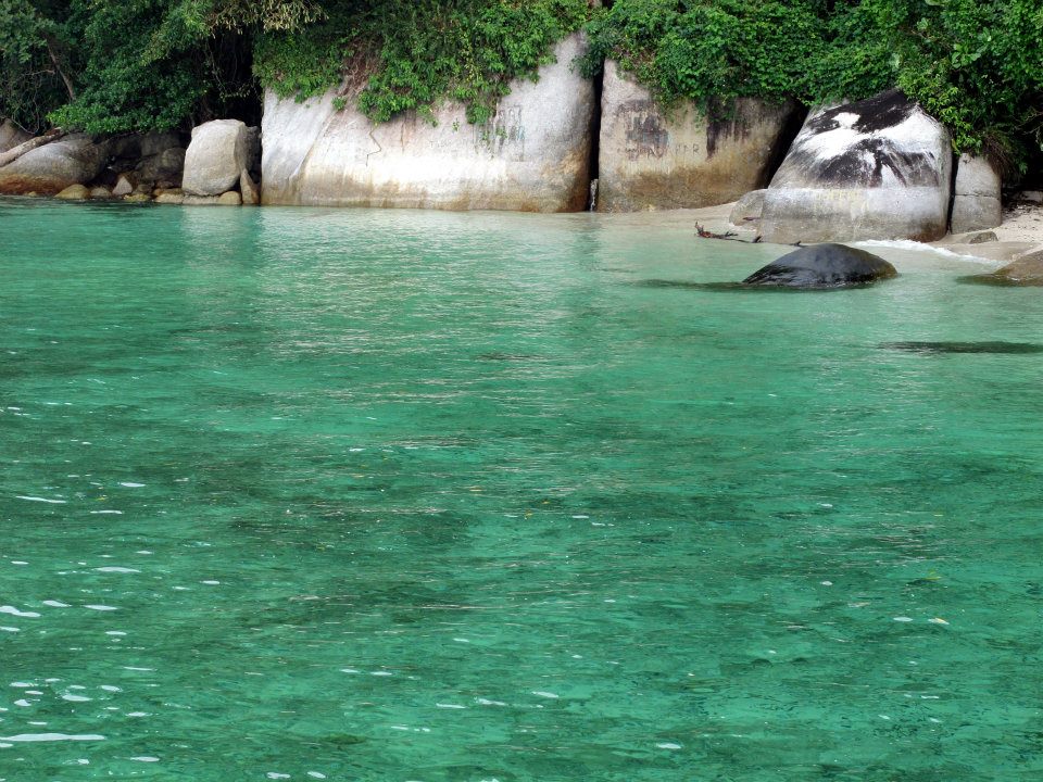 526260_447647321917739_1105708620_n