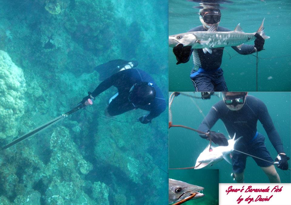 529934_447688411913630_1292891531_n