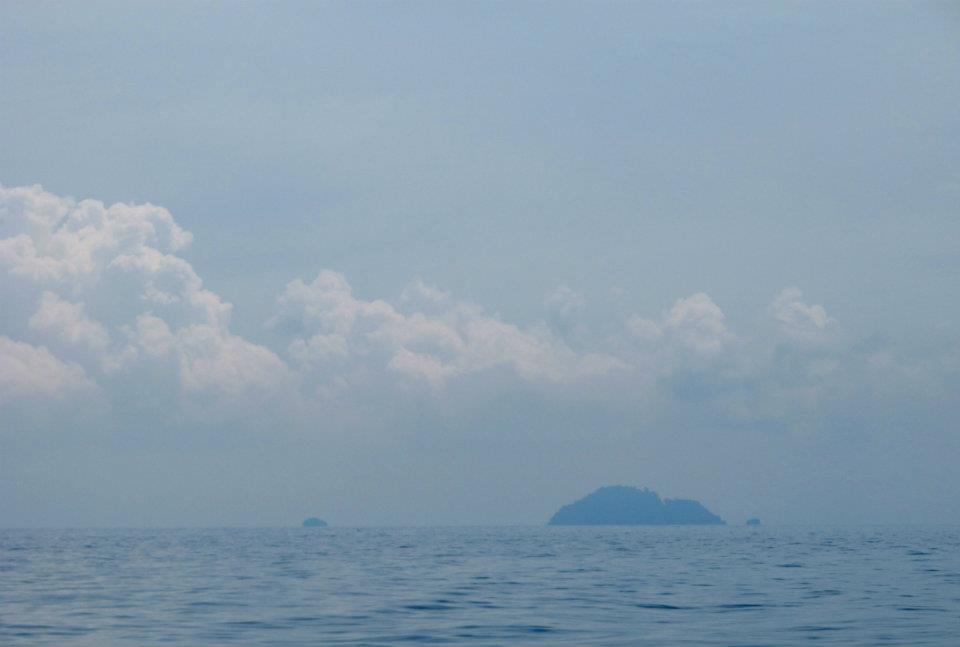 530341_447643771918094_1869662686_n