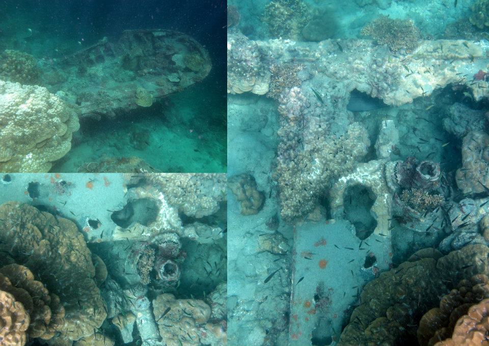 536427_447687528580385_592405262_n