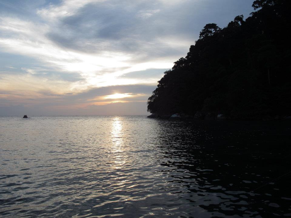 538367_447646025251202_1841531870_n