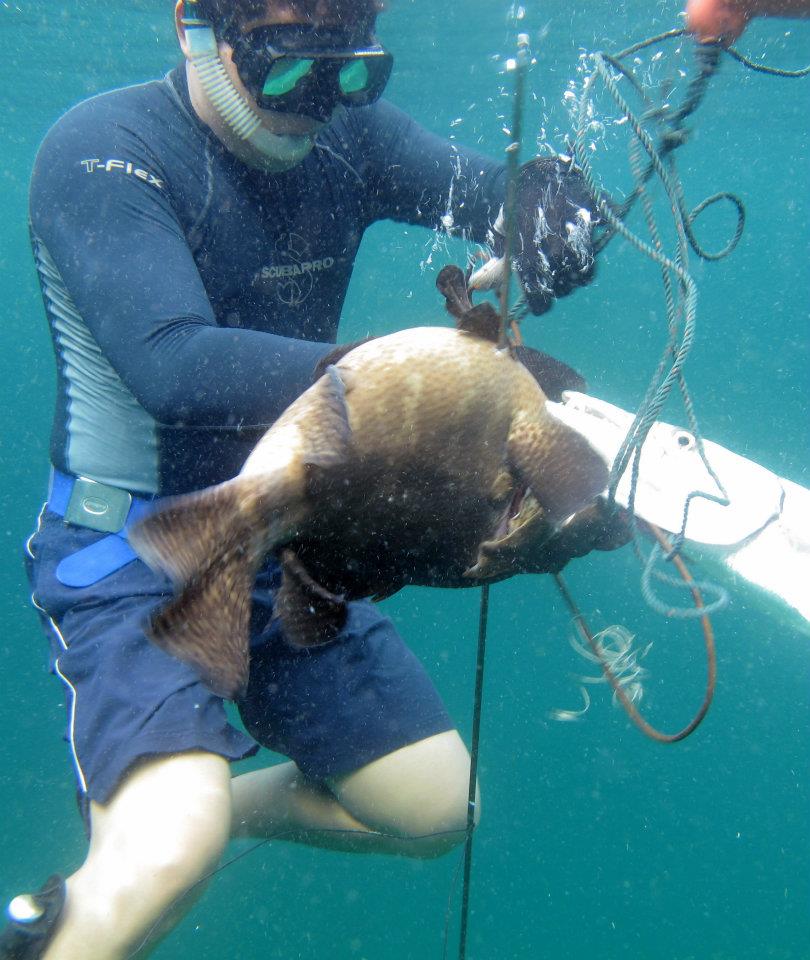 538646_447649121917559_1628256064_n