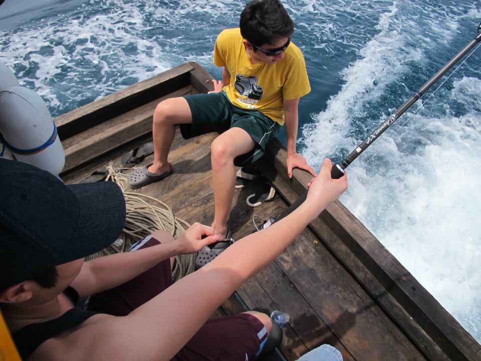 538685_447643915251413_536733697_n