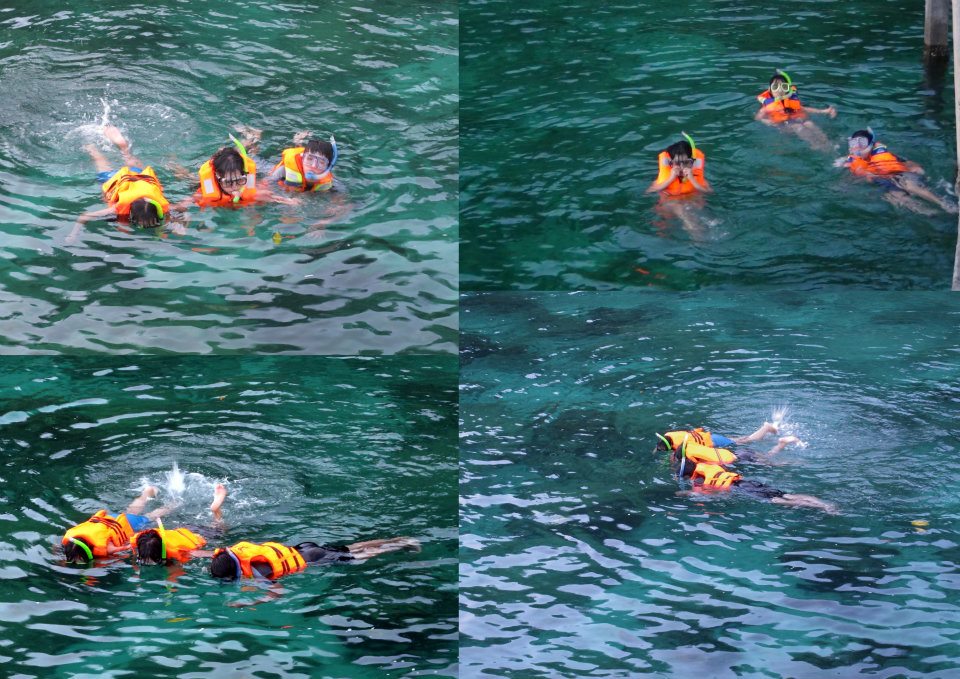 542873_447688201913651_1841595085_n