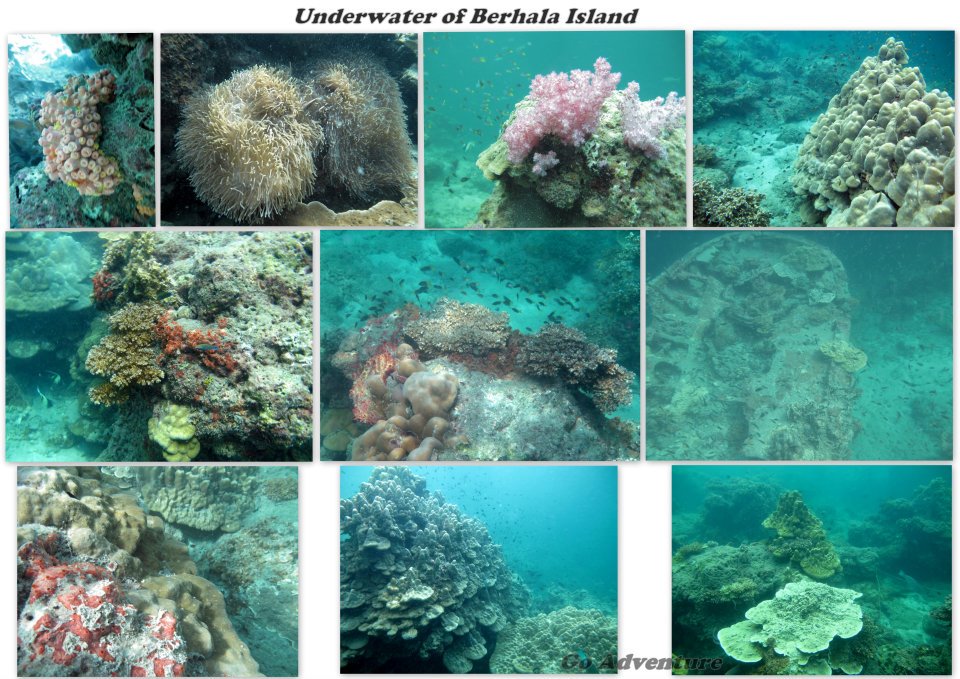 543227_447687641913707_2094328835_n