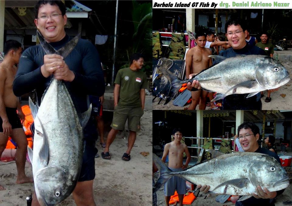 545774_447690311913440_576398449_n