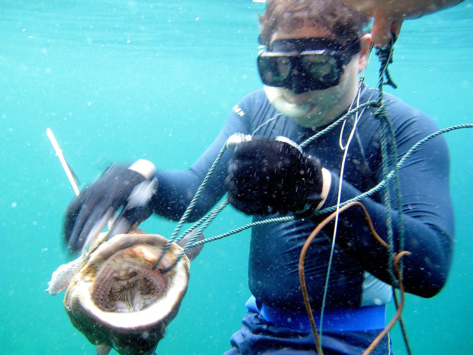 548311_447648715250933_1422702217_n