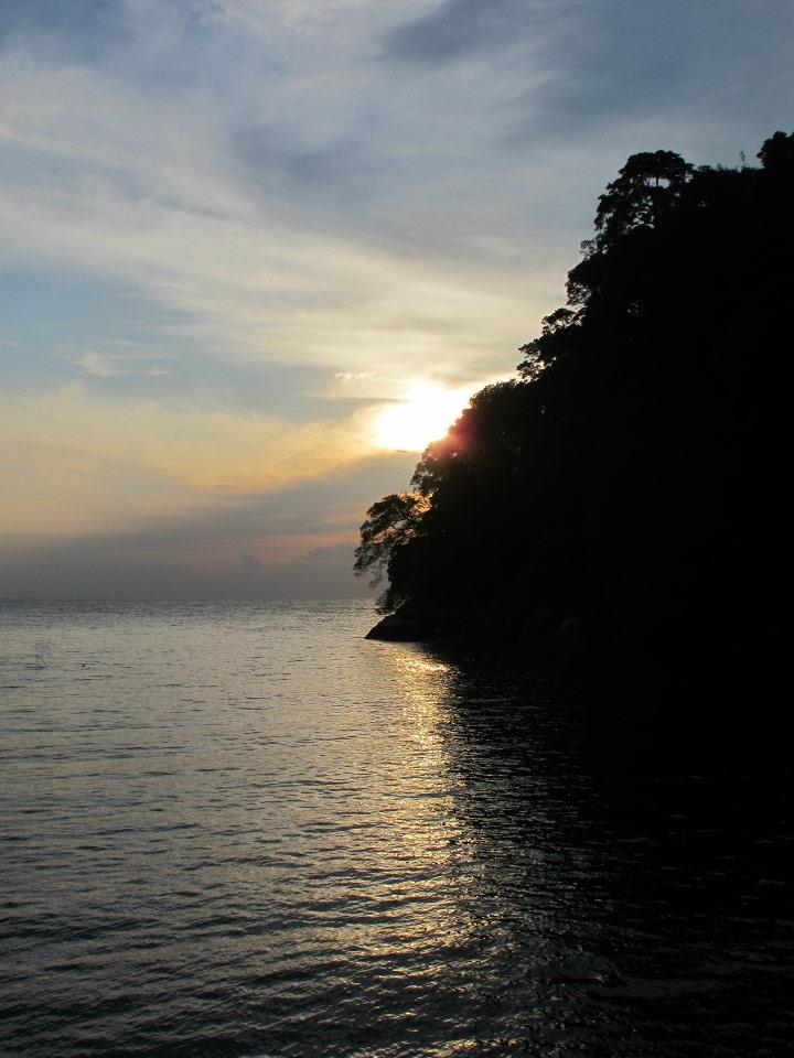 561241_447645261917945_1761235781_n