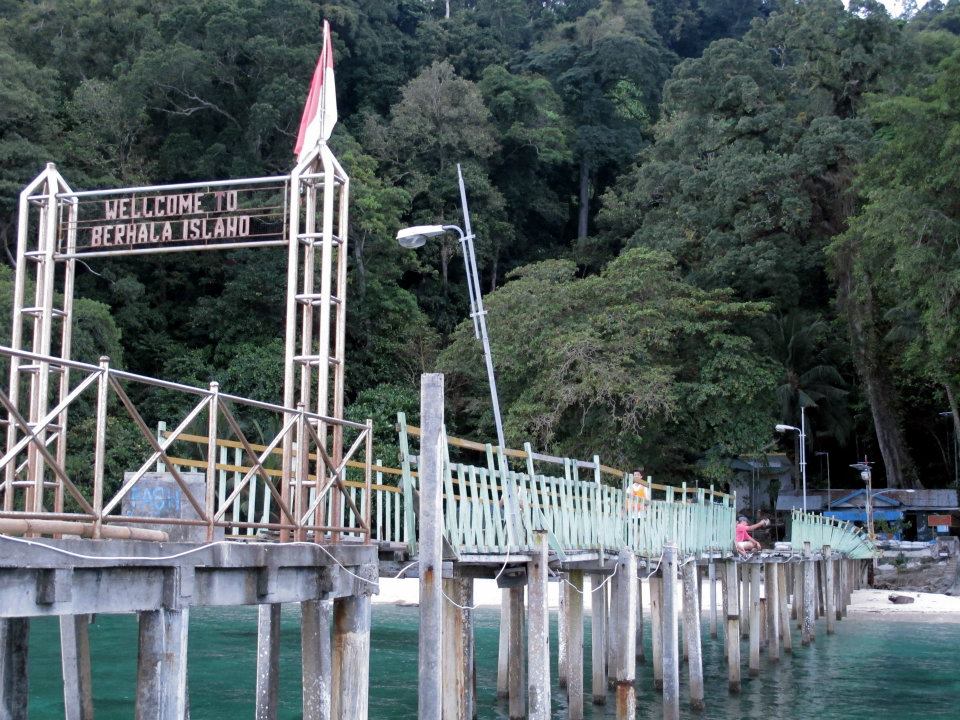 562542_447646371917834_1005948821_n