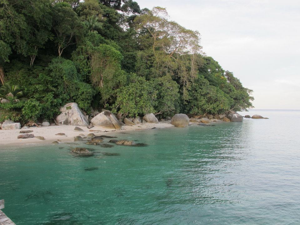 562588_447644925251312_697858496_n