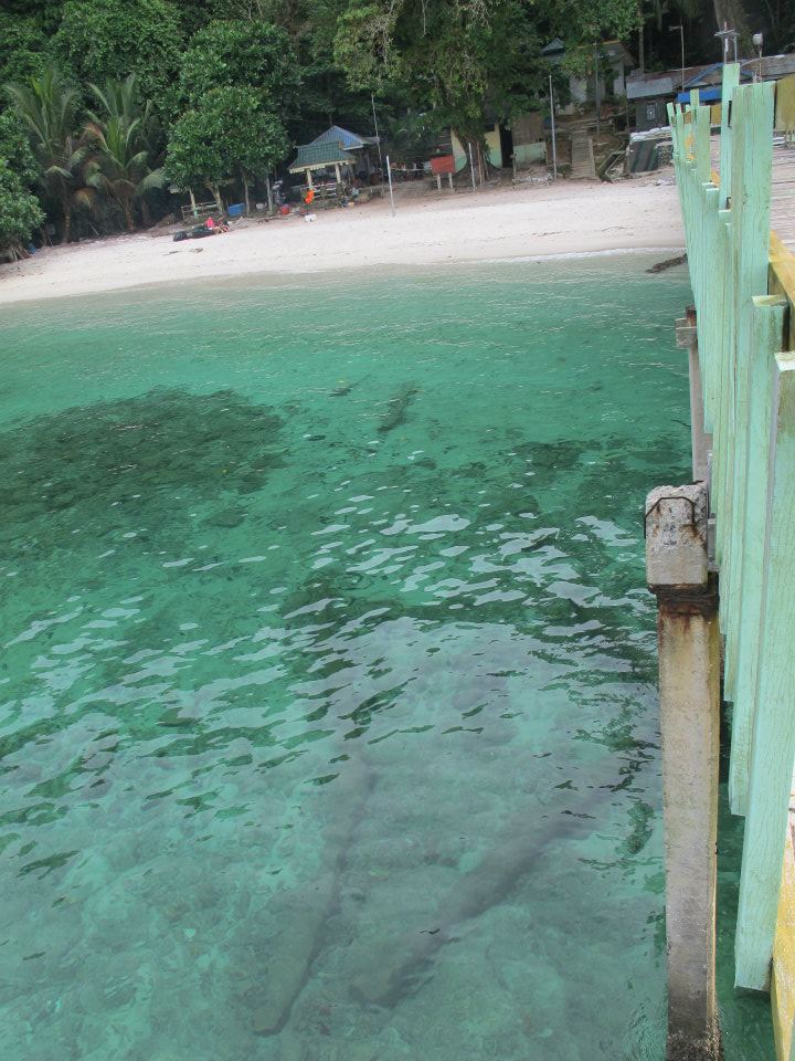 575335_447646981917773_317583504_n