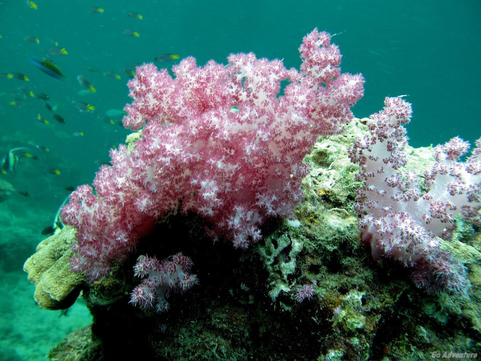 578132_447648231917648_1552969469_n