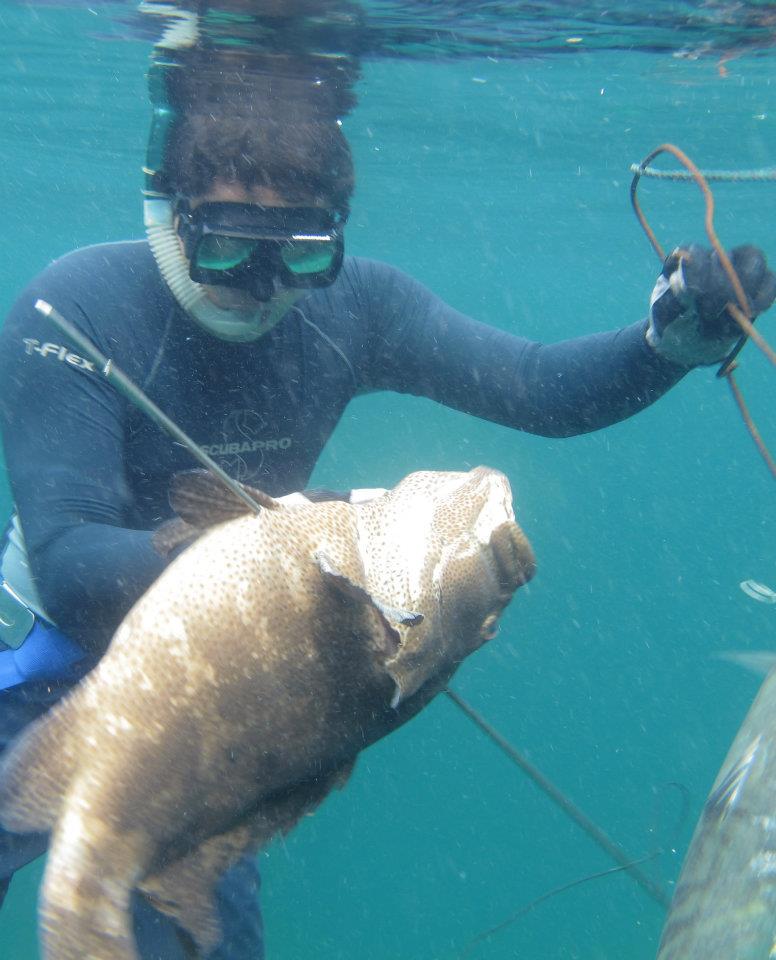 578372_447649538584184_283333870_n