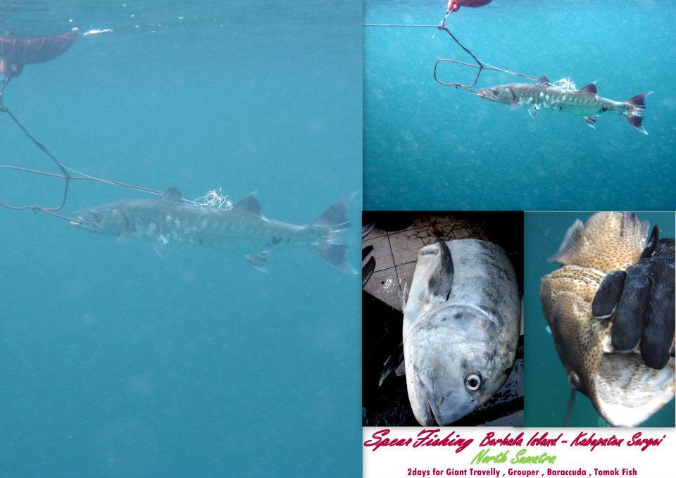 578631_447688778580260_1671472474_n