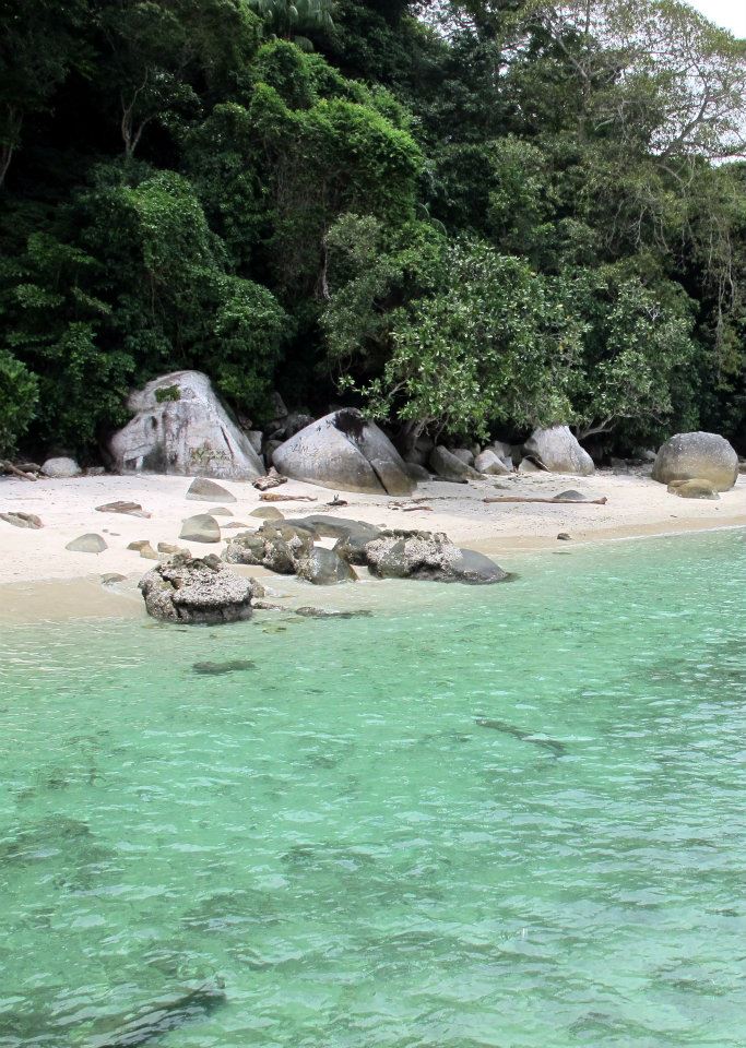 582168_447644541918017_786656139_n