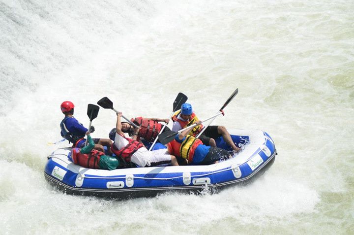 600408_669059726443163_315290056_n