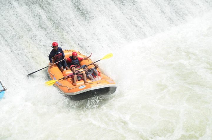 969592_669059419776527_411552604_n